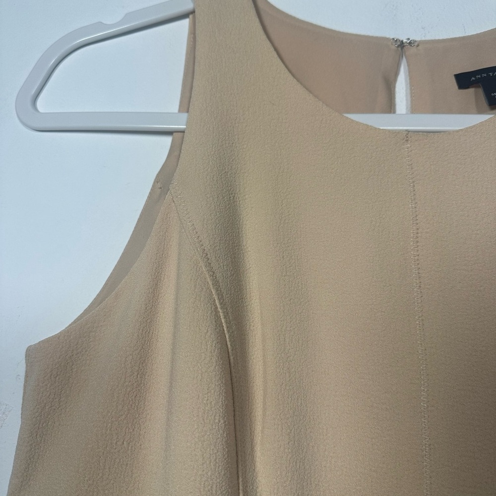 Ann Taylor ColorBlock Dress Sleeveless Beige Black Sheath Style Two Tone size 4 - Picture 5 of 9